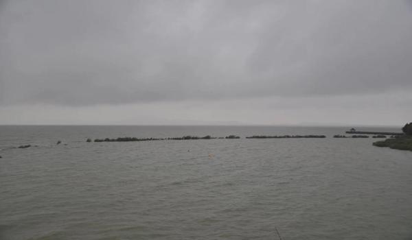 三角洲行动科技网 激活码（哪里可以领到三角洲行动的激活码？）